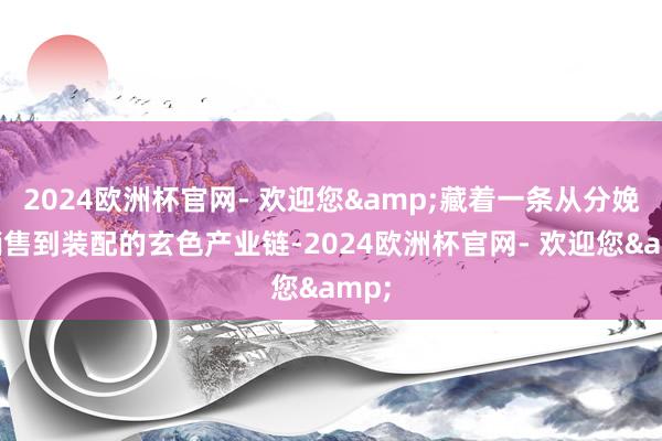 2024欧洲杯官网- 欢迎您&藏着一条从分娩、销售到装配的玄色产业链-2024欧洲杯官网- 欢迎您&