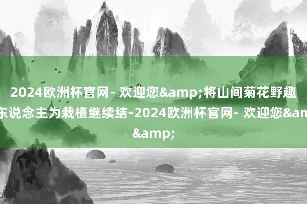 2024欧洲杯官网- 欢迎您&将山间菊花野趣与东说念主为栽植继续结-2024欧洲杯官网- 欢迎您&