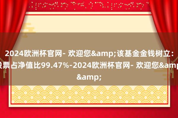 2024欧洲杯官网- 欢迎您&该基金金钱树立：股票占净值比99.47%-2024欧洲杯官网- 欢迎您&