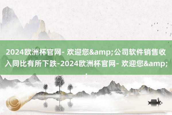 2024欧洲杯官网- 欢迎您&公司软件销售收入同比有所下跌-2024欧洲杯官网- 欢迎您&